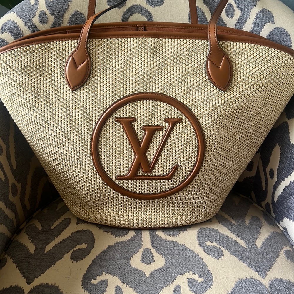 Saint Jacques Louis Vuitton bag